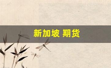 新加坡 期货(新加坡期货公司排名)_https://www.hangfeite.com_深交所_第1张